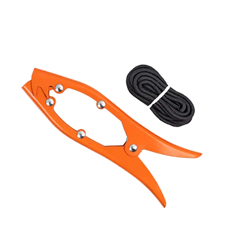 dbmarinesupplies504601