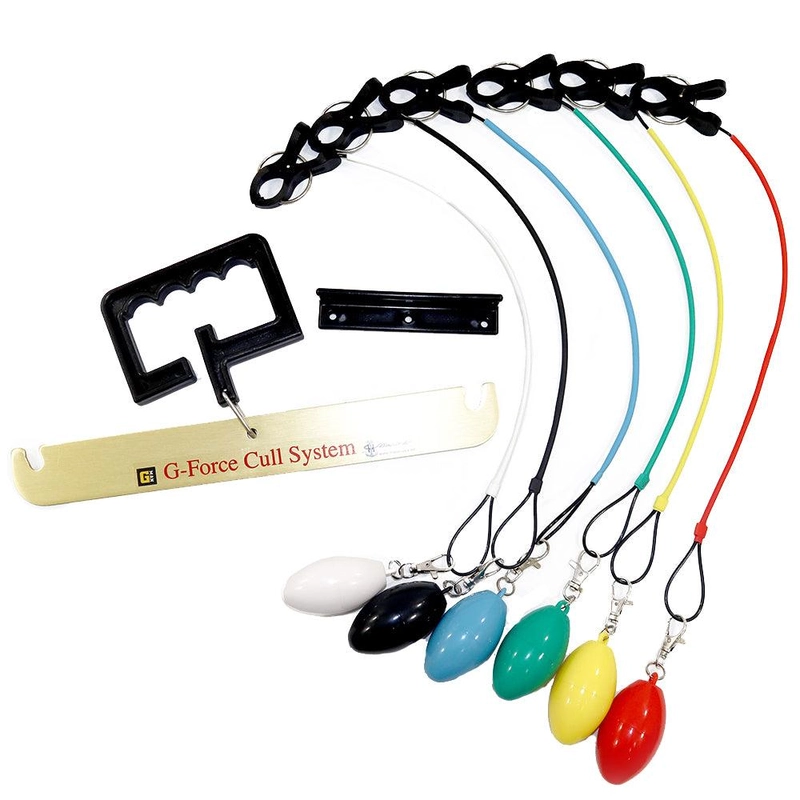 essenbaymarine499332